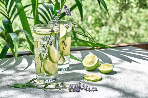 Cool lavender lemonade with lime slices and lavender flower on the table in tropical garden with palm. Healthy organic summer soda drink. Detox water. Diet unalcolic coctail.