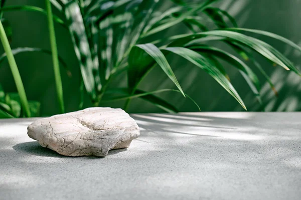 Podyum olarak beyaz taş, ürün sunumu için koyu yeşil yüzey ve palmiye yaprakları önünde sergilenir. Yaya tezgahı. Kozmetik veya eko güzellik ürünü tanıtım modası minimalist modelleme.