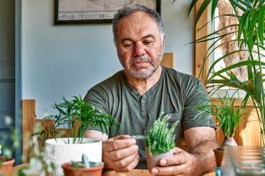 Mature bearded man holding a pot with cactus. Taking care of home flowers and succulents, planting and sprinkling water on the plants. Home gardening.