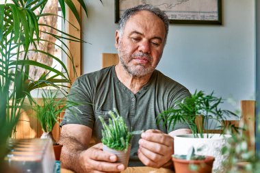 Mature bearded man holding a pot with cactus. Taking care of home flowers and succulents, planting and sprinkling water on the plants. Home gardening.