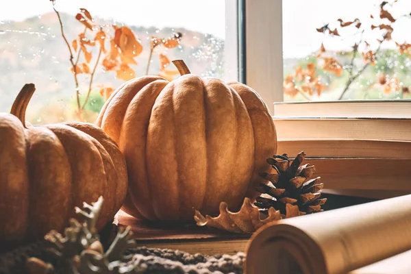 Cozy autumn still life with pumpkins, knitted woolen sweater and books on windowsill. Autumn home decor. Cozy fall mood. Autumn reading. Thanksgiving. Halloween.