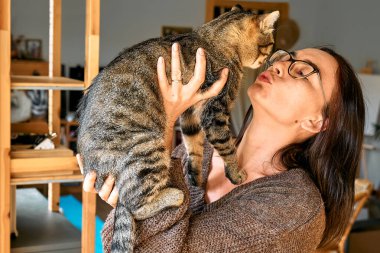 Middle-aged woman hugging cute tabby cat in indoor scene. Human-animal relationships. Funny home pet. Homeless pets.