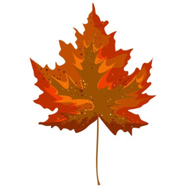 Beyaz arka planda stilize olmuş bir sonbahar yaprağının gerçekçiliği. EPS 10. Kavram. Çizgi film