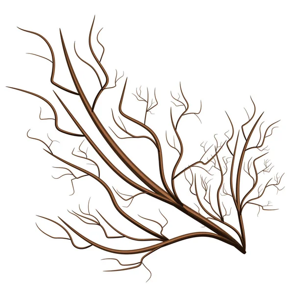 Διανυσματική Εικόνα Που Απομονώνεται Λευκό Φόντο Κλαδί Ροστόκ Δέντρο Έννοια — Διανυσματικό Αρχείο