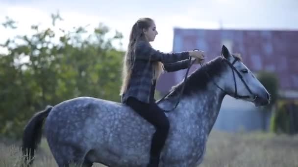 Donna cavalca un cavallo attraverso il campo — Video Stock