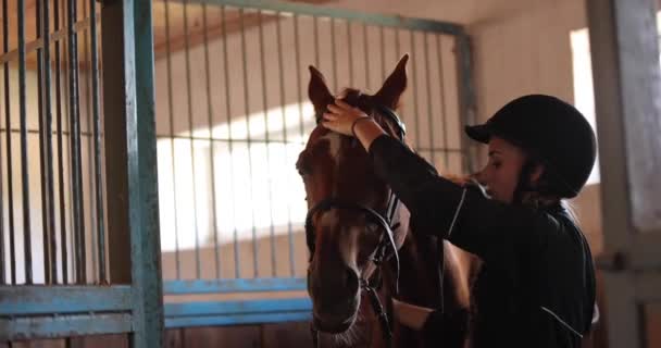Vrouw zet stijgbeugel op paard op paardenboerderij — Stockvideo