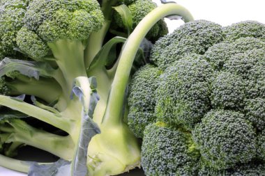 Tüm brokoli izole edilmiş.