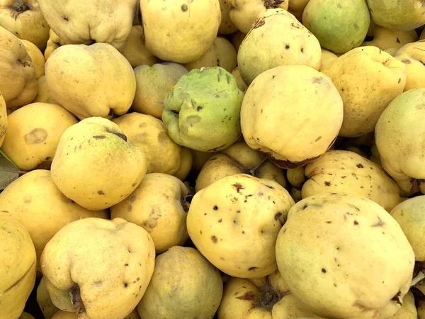 Quinces Piled Already Ripe — Stock Photo, Image