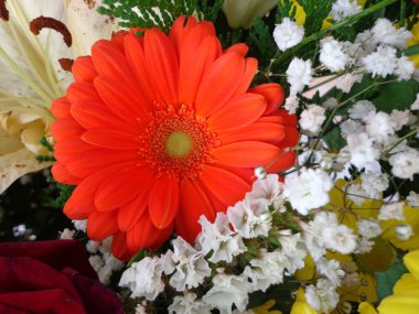 Close-up of some flowers in a bouquet