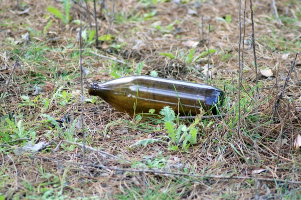 Стеклянная Бутылка Брошенная Посреди Поля — стоковое фото