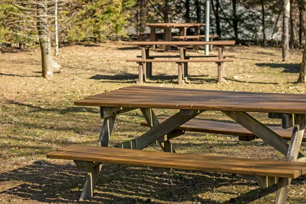 野餐区有座位的木制餐桌 — 图库照片