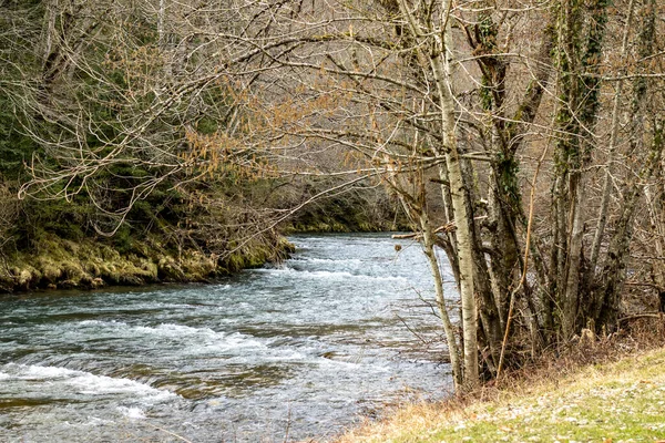 Irati Fluss Wie Durch Das Tal Fließt — Stockfoto