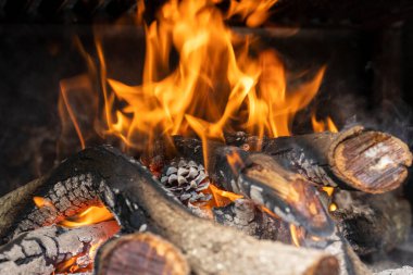 Kazıkta yanan odunların yakın çekimi 