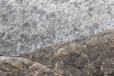 Dalgalar alçaldığında deniz kayalarının yüzeyine yakın çekim