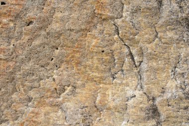 Dalgalar alçaldığında deniz kayalarının yüzeyine yakın çekim