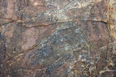 Dalgalar alçaldığında deniz kayalarının yüzeyine yakın çekim