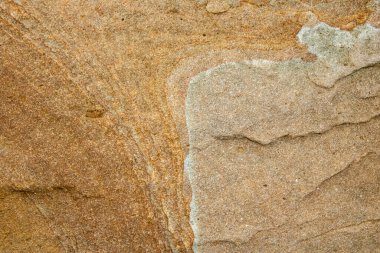 Dalgalar alçaldığında deniz kayalarının yüzeyine yakın çekim