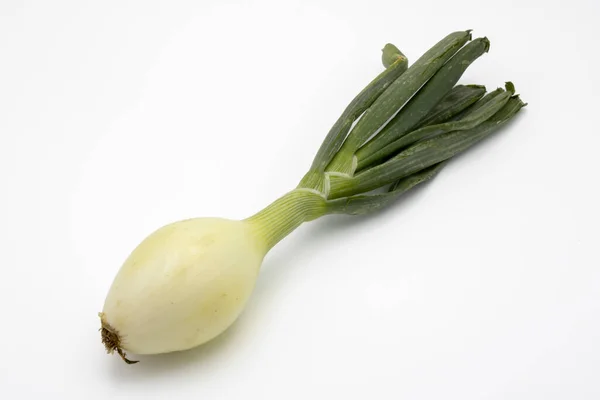 Close Fresh Onion Isolated White Background — Stockfoto
