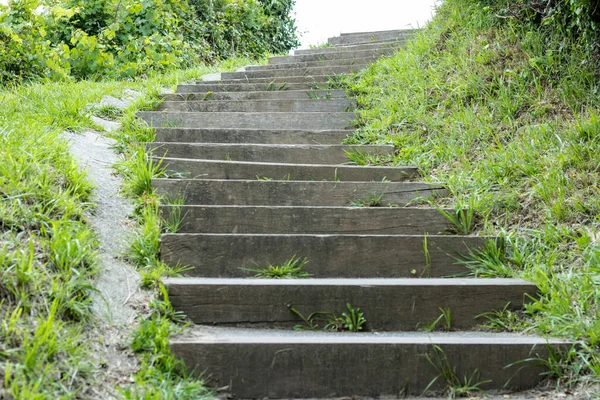 Uphill Stair Section Covered Vegetation — Stock Photo, Image
