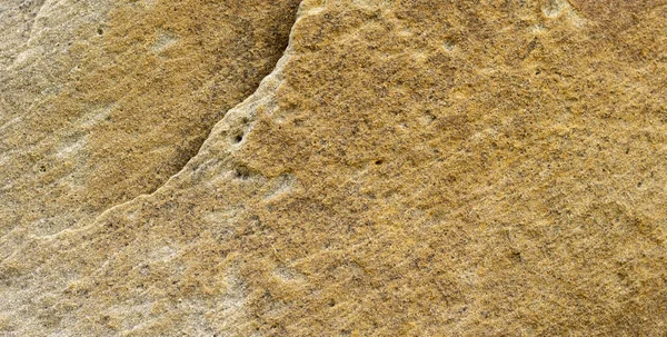 Close Surface Marine Rocks Low Tide — Stock Photo, Image