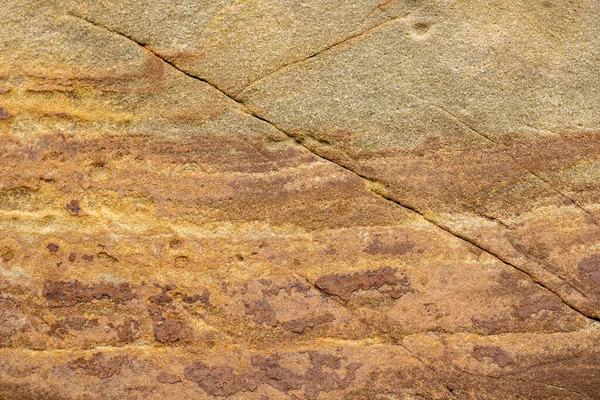 Close Surface Marine Rocks Low Tide — Stock Photo, Image