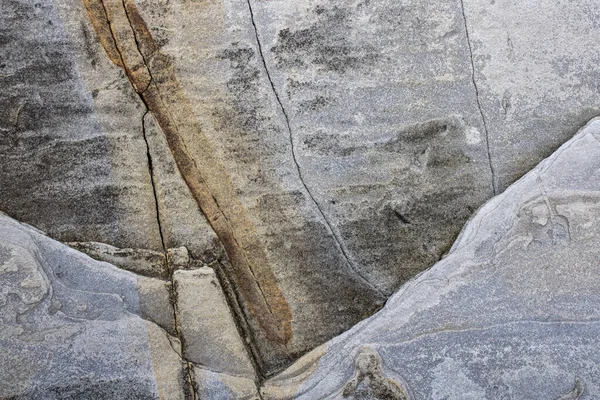 Close Surface Marine Rocks Low Tide — Foto Stock