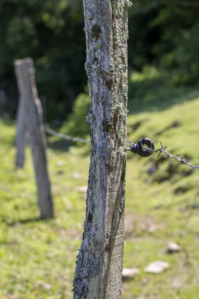 Wooden Stick Fence Barbed Wire — 图库照片