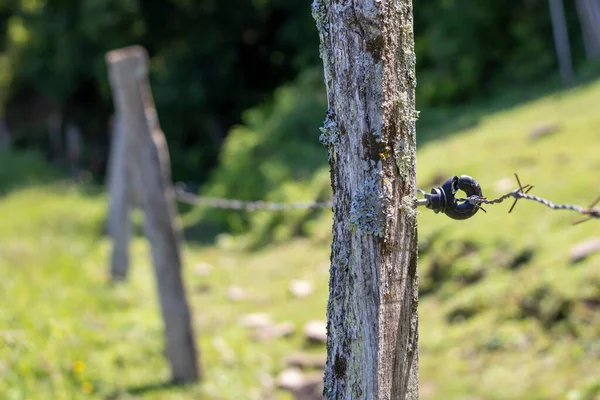 Wooden Stick Fence Barbed Wire — 图库照片