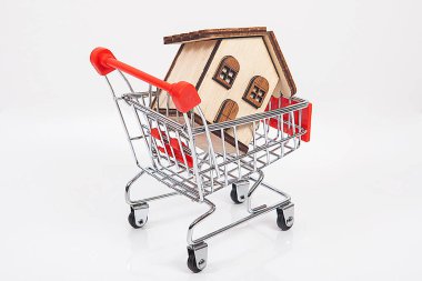 Emlakçı konsepti. Alışveriş arabasının içindeki ev modeli..