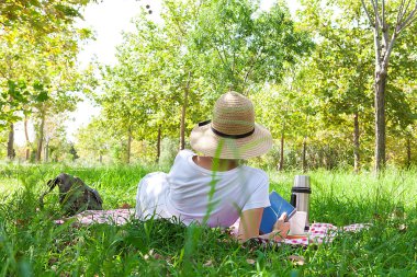 Elinde kitap olan genç bir kadın kırsalda piknik yapıyor. Mutlu, sıcak bir gün, açık havada. Parktaki kadın..