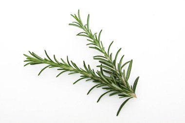 Beyaz arka planda taze Rosemary Bitkisi. Biberiye. Taze organik tatlandırıcı. Doğal sağlıklı tatlandırıcı. Yiyecek için gerekli malzemeler.