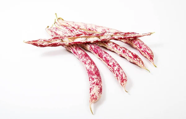 Φρέσκα Οργανικά Φασόλια Λευκό Φόντο Φασόλια Borlotti Cranberry Ροζ Βούλες — Φωτογραφία Αρχείου