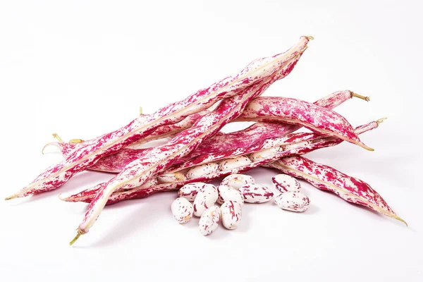 Beyaz arka planda taze organik böbrek fasulyesi. Pembe benekli Borlotti veya kızılcık fasulyesi..