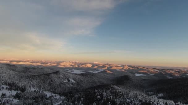 Hohe Schneebedeckte Bäume Büsche Und Sonnenaufgang Schnee Wald Und Wunderschöne — Stockvideo