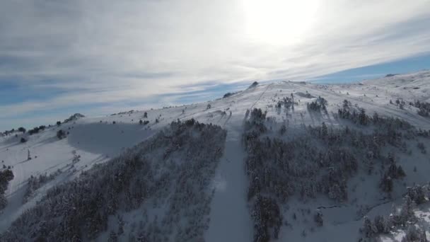 Ψηλά Χιονισμένα Δέντρα Θάμνοι Και Ανατολή Του Ηλίου Χιόνια Στο — Αρχείο Βίντεο