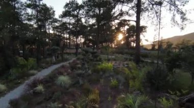 Ağaçlar ve orman manzarasıyla çevrili güzel bir yer. Türkiye, Marmaris, Bordubet Körfezi.