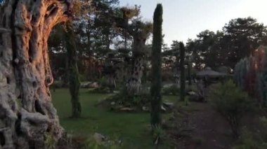 Ağaçlar ve orman manzarasıyla çevrili güzel bir yer. Türkiye, Marmaris, Bordubet Körfezi.