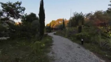 Ağaçlar ve orman manzarasıyla çevrili güzel bir yer. Türkiye, Marmaris, Bordubet Körfezi.