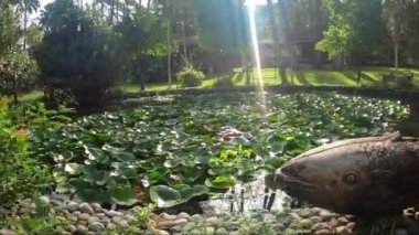 Ağaçlar ve orman manzarasıyla çevrili güzel bir yer. Türkiye, Marmaris, Bordubet Körfezi.