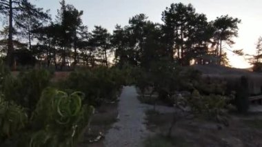 Ağaçlar ve orman manzarasıyla çevrili güzel bir yer. Türkiye, Marmaris, Bordubet Körfezi.