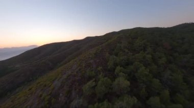  Ağaçlarla çevrili nehir ve orman manzarası. Türkiye, Marmaris, Bordubet Körfezi.