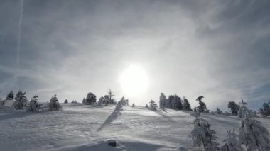  Uzun karlı ağaçlar, çalılar ve gün doğumu. Ormanda kar ve güzel kış manzaraları. Doğa manzarası ve tatil konsepti.