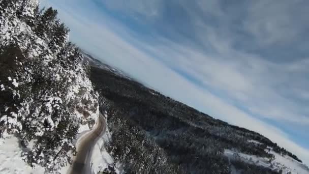 Magas Havas Fák Bokrok Napfelkelte Erdőben Gyönyörű Téli Tájak Természeti — Stock videók