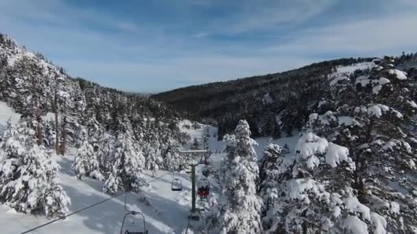 Höga Snöiga Träd Buskar Och Soluppgång Snön Skogen Vackra Vinterlandskap — Stockvideo