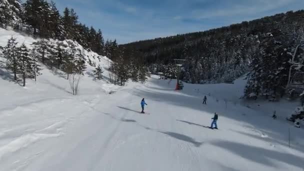 Höga Snöiga Träd Buskar Och Soluppgång Snön Skogen Vackra Vinterlandskap — Stockvideo