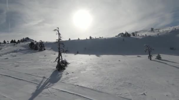 高大的雪树 灌木丛和日出 森林里的雨雪和美丽的冬季风景 自然景观和度假概念 — 图库视频影像