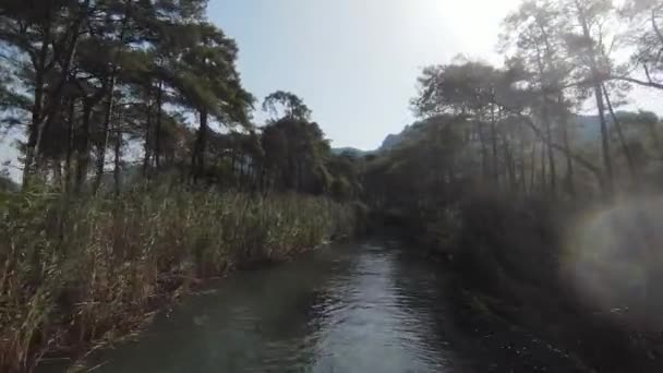 木々に囲まれた川や森の景色 トルコ マーマリス ボルドベト湾 — ストック動画