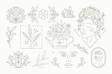 Botanik bitki ve yapraklarla dolu güzel bir çiçek koleksiyonu. Dekoratif çizgi çiçek amblemleri