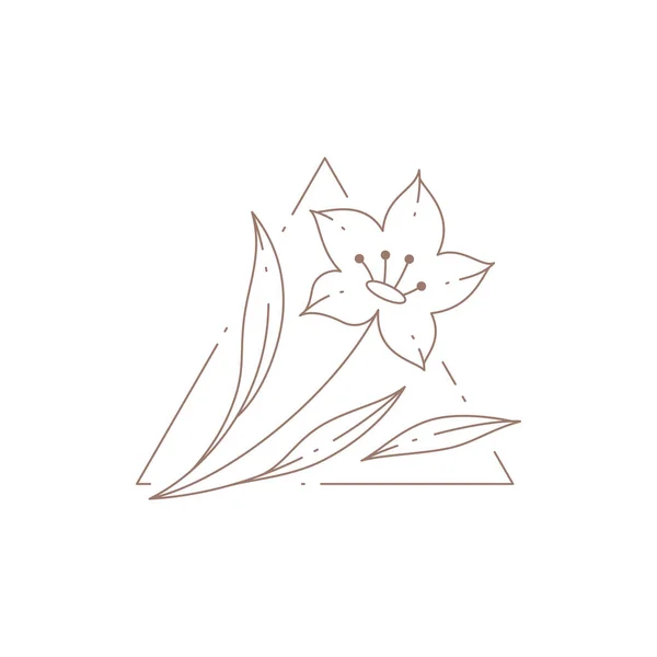 Prosty romantyczny liniowy naturalny kwiat z płatkami, łodygami i liśćmi na trójkątnym dekoracyjnym logo ramki — Wektor stockowy