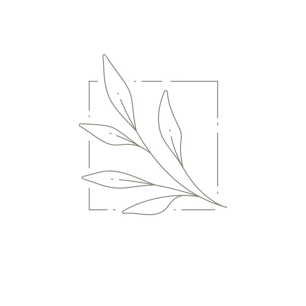 正方形のフレームで枝の葉を持つ植物手描きのモノクロームアート装飾シンプルなロゴタイプ — ストックベクタ